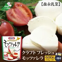 【定期便】森永乳業 モッツァレラチーズ 600g(100g×6P) × 8ヵ月【全8回】