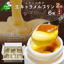 【定期便】絶品 濃厚 ！ 生キャラメルプリン 6個入 × 2ヵ月【全2回】