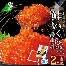 計500g【250g×1パック 2回 お届け】 2ヵ月 定期便 漁協 直送！本場「北海道」 いくら 醤油漬け【NKM02NQ13】（野付漁業協同組合）( いくら いくら醤油漬け いくら醤油漬 醤油いくら 鮭いくら 国産いくら 北海道産いくら 地場産いくら 道産いくら 別海町 ふるさと納税 ふるさと ikura )