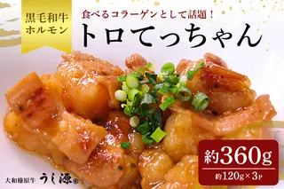 (冷凍) 国産 黒毛和牛 味付 トロてっちゃん 120g×3パック／うし源本店 ホルモン バーベキュー キャンプ アウトドア 父の日 奈良県 宇陀市 お中元 贈答用 贈り物 暑中見舞い お土産 お歳暮 内祝いまとめ買い 美味しい部位 キャンプ 送料無料 味付き