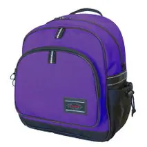 キッズリュック DP-01 パープル／小さめ 軽量 通学 遠足 幼稚園 小学生 かわいい おしゃれ 子供 丈夫 バックパック チェストベルト付き リュックサック ふるさと納税