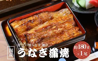 国産 うなぎ蒲焼 約180g×1尾 冷凍／ 鰻 うなぎ 蒲焼 鰻屋 うな重 うな丼 活 江戸焼うなぎ 旭亭 奈良県 宇陀市 土用の丑の日 贈答用 ギフト ふるさと納税