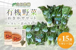 （チルド）山口農園 有機野菜 おまかせセット ＋ カレー２箱 詰合せ / ふるさと納税 山口農園 有機野菜 伝統野菜 オーガニック ベジタリアン 定期便 カレー 無農薬 野菜セット 農家直送  詰め合わせ 奈良県 宇陀市 