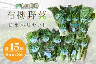 （チルド）山口農園 有機野菜 おまかせセット ／ふるさと納税 山口農園  伝統野菜 オーガニック ベジタリアン 無農薬 野菜セット  農家直送  詰め合わせ 奈良県 宇陀市 