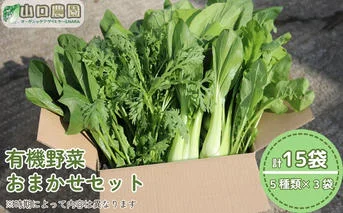 （チルド）山口農園 有機野菜 おまかせセット ／ふるさと納税 山口農園  伝統野菜 オーガニック ベジタリアン 無農薬 野菜セット  農家直送  詰め合わせ 奈良県 宇陀市 