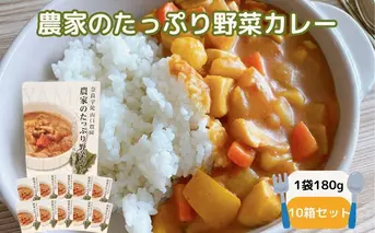 農家のたっぷり野菜カレー 10個／ふるさと納税 レトルトカレー 詰め合わせ ギフト 10食 野菜 ふるさと 有機野菜 オーガニック 飯 簡単 時短 保存食 奈良県 宇陀市 山口農園