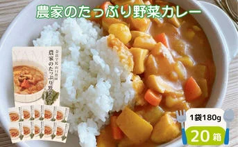 農家のたっぷり野菜カレー ２０個／ふるさと納税 山口農園 有機野菜 オーガニック 伝統野菜 レトルト 詰め合わせ カレー ギフト カレーセット スパイス 飯 キャンプお取り寄せ 奈良県 宇陀市 ご当地 簡単 お歳暮 暑中見舞い 保存 時短 国産 保存食 