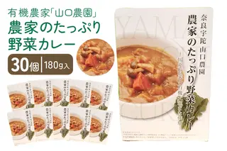 農家のたっぷり野菜カレー ３０個／山口農園 有機野菜 オーガニック 伝統野菜 レトルト 詰め合わせ カレー ギフト カレーセット スパイス 飯 キャンプお取り寄せ 奈良県 宇陀市 送料無料 おかず ご当地 簡単 お歳暮 暑中見舞い 保存 時短 国産 保存食 ふるさと納税