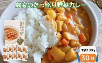 農家のたっぷり野菜カレー ３０個／山口農園 有機野菜 オーガニック 伝統野菜 レトルト 詰め合わせ カレー ギフト カレーセット スパイス 飯 キャンプお取り寄せ 奈良県 宇陀市 送料無料 おかず ご当地 簡単 お歳暮 暑中見舞い 保存 時短 国産 保存食 ふるさと納税