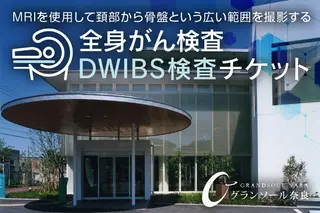 グランソール奈良 ＤＷＩＢＳ 全身がん検査／ がん検査 結婚記念日 父の日 母の日 敬老の日 勤労感謝の日 ギフト プレゼント 奈良県 宇陀市 ふるさと納税
