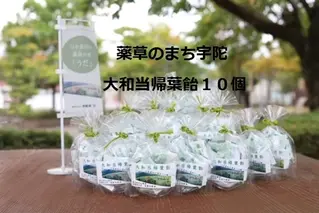 薬草のまち宇陀 大和当帰葉飴 10個／飴 個包装 10個 奈良県 宇陀市