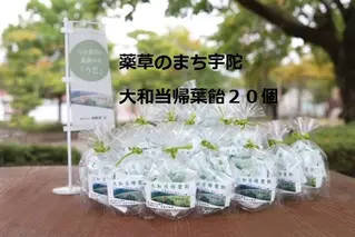 薬草のまち宇陀 大和当帰葉飴 20個／飴 個包装 20個 奈良県 宇陀市