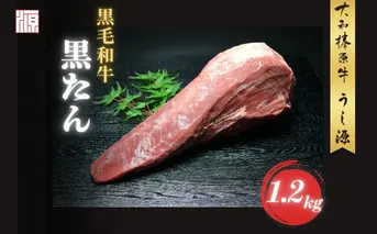 (冷凍) 黒毛和牛 タン 1本 1.2kg／ふるさと納税 牛たん ブロック 牛タン 国産 やわらか グルメ お取り寄せ 牛肉 ギフト A5 キャンプ 父の日 母の日 お中元 暑中見舞い お土産 焼肉 正月 キャンプ 奈良県 宇陀市 うし源本店
