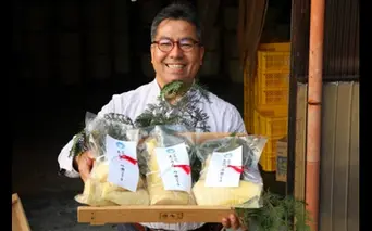 神饌タケノコ 500ｇ入り×6【2026年5月発送分】