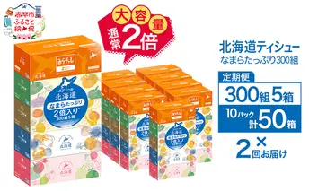 2回お届け 計100箱 エリエール 北海道 ティシュー なまらたっぷり 300組5箱 10パック 大容量 まとめ買い 防災 常備品 備蓄品 消耗品 日用品 生活必需品 送料無料 赤平市 ストック 