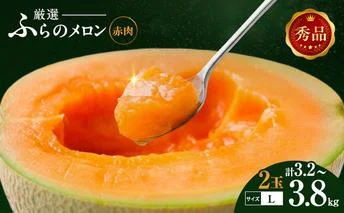 【令和8年産】ふらの 赤肉メロン 秀品 Lサイズ 1.6kg～1.9kg 2玉 セット ファーム富良野 メロン めろん 果物 くだもの フルーツ デザート 北海道 北海道上富良野町 