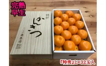 ZF6034n_【完熟早生・有田みかん】化粧箱『特秀』 4kg Lサイズ32個入
