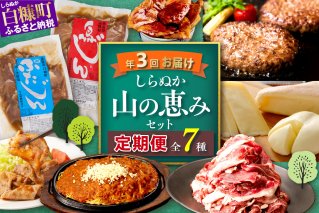 しらぬか山の恵みセット'24-'25【年3回定期便】_I050-1237