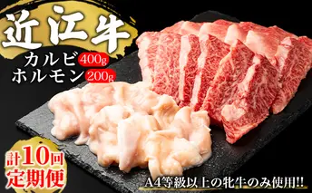 定期便10回【A4等級以上の牝牛のみ使用!!】近江牛カルビ400gとホルモン200g お肉 セット 焼肉 