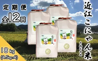 【定期便-12回】近江こにゃん米「きぬむすめ」【18kg】毎月お届け お米 上白精米 