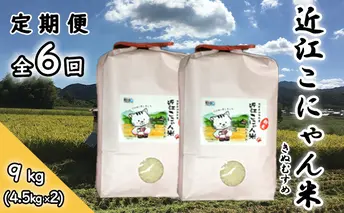 【定期便-6回】近江こにゃん米「きぬむすめ」【9kg】6か月間お届け お米 上白精米 