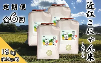 【定期便-6回】近江こにゃん米「きぬむすめ」【18kg】6か月間お届け お米 上白精米 