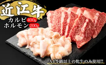 【A4等級以上の牝牛のみ使用！！】近江牛カルビ400gとホルモン200g お肉 焼肉用 セット 