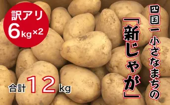 【四国一小さなまち】 ★先行受付：2023年5月発送開始★　大野台地で採れた 令和５年産『 新じゃが 』 １２ｋｇ　訳アリ品 