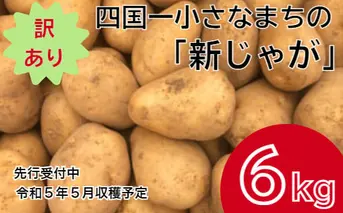 【四国一小さなまち】 ★先行受付：2023年5月発送開始★　大野台地で採れた 令和５年産『 新じゃが 』 ６ｋｇ　訳アリ品 