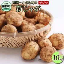 ★先行受付：2025年5月発送開始★大野台地で採れた 令和7年産新じゃがいも『デジマ』10kg 10キロ イモ ジャガイモ 芋 いも ポテト 野菜 おいしい ふっくら 旬 国産 お取り寄せ 送料無料