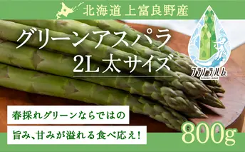 【  2026年 発送 】 先行予約 北海道 上富良野産 アスパラガス 2L サイズ 800g アスパラ 上富良野町 令和7年発送 先行予約 