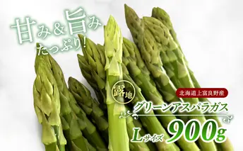 先行予約 【 2025年 発送 ！】北海道 上富良野産 露地 グリーン アスパラガス Lサイズ 900g アスパラ グリーンアスパラ 上富良野町 令和7年発送 野菜 やさい 
