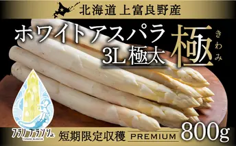 先行予約 【 2026年 発送 ！】北海道 上富良野産 ホワイトアスパラガス 3L サイズ 800g アスパラ ホワイトアスパラ 上富良野町 令和6年発送 先行受付 野菜 やさい 