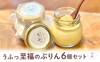 「うふっ」至福のぷりん6個セット お菓子 スイーツ おやつ デザート 洋菓子 生菓子 こだわり素材 日本一こだわり卵 きび砂糖 上品な甘さ カラメルホイップ 