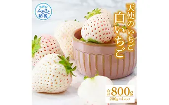 SKS047　Berry農園 天使のいちご（白いちご）