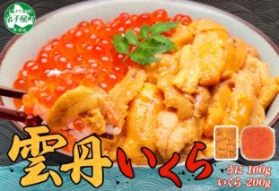 2498.  うに 100g いくら醤油漬け 200g ウニ チリ産 冷凍 いくら 二色丼 雲丹 イクラ 海鮮 海鮮丼 うに丼 いくら丼 いくら醤油漬け 送料無料 北海道 弟子屈町