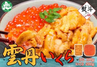 3403.  無地熨斗 うに 100g いくら醤油漬け 200g ウニ チリ産 冷凍 いくら 二色丼 雲丹 イクラ 海鮮 海鮮丼 うに丼 いくら丼 いくら醤油漬け のし 名入れ不可 送料無料 北海道 弟子屈町