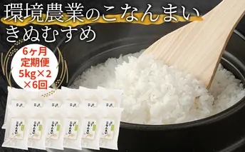【6ヶ月定期便】環境農業のこなんまい きぬむすめ10kg お米 おにぎり 