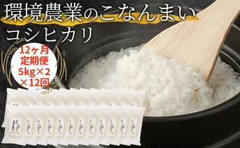 【12ヶ月定期便】環境農業のこなんまい コシヒカリ10kg お米 おにぎり 