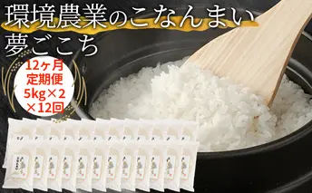 【12ヶ月定期便】環境農業のこなんまい 夢ごこち10kg お米 おにぎり 