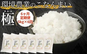 【6ヶ月定期便】環境農業のこなんまい 極5kg お米 おにぎり 