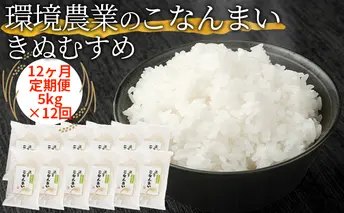 【12ヶ月定期便】環境農業のこなんまい きぬむすめ5kg お米 おにぎり 
