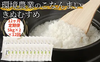 【12ヶ月定期便】環境農業のこなんまい きぬむすめ10kg お米 おにぎり 