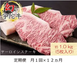 毎月定期便全12回 名産 認定肉 宇陀牛 国産 黒毛和牛 サーロイン ステーキ 5枚 計1kg / 山繁 ふるさと納税 牛肉 牛丼 しゃぶしゃぶ 人気 寄付 ランキング おすすめ グルメ 肉 返礼品 送料無料