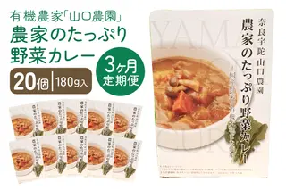 定期便 3ヶ月 農家のたっぷり野菜カレー20個 月1回 ／ ふるさと納税 山口農園 有機野菜 オーガニック 伝統野菜 レトルト 詰め合わせ ギフト カレーセット スパイス 飯 キャンプお取り寄せ 奈良県 宇陀市  おかず ご当地 簡単 お歳暮 暑中見舞い 時短 保存食 