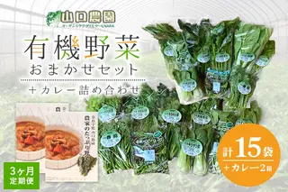 定期便 3ヶ月 山口農園 有機野菜 おまかせセット+カレー2箱 詰合せ 冷蔵 月1回 /ふるさと納税 山口農園 有機野菜 伝統野菜 オーガニック ベジタリアン 定期便 カレー  野菜セット 農家直送  詰め合わせ 奈良県 宇陀市