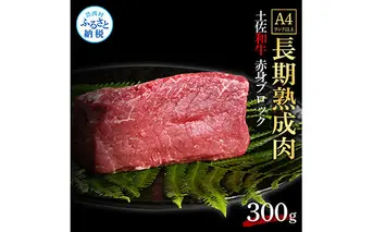 TKA202　天下味 エイジング工法 熟成肉 土佐和牛 特選赤身ブロック 300g エイジングビーフ 赤身 牛 ブロック 国産 肉 牛肉 和牛 人気 老舗焼肉店 冷凍 食品 新鮮 真空パック 高級 お祝い 高知 高知県 芸西村 故郷納税 15000円 返礼品 贈り物 贈答 ギフト