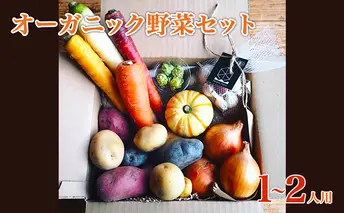 2025年産 秋のオーガニックお野菜セット1~2人用 詰合せ じゃがいも にんにく 人参 南瓜 玉ねぎ