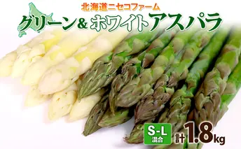 【 2026年 発送 】 北海道産 アスパラガス グリーン ホワイト 2種 約 900g×2 計1.8kg S - L サイズ混合 食べ比べ アスパラ 旬 朝採り 新鮮 お取り寄せ 産地直送 産直 野菜 農作物 詰め合わせ 国産 しりべしや