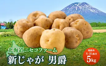 北海道産 じゃがいも 男爵 5kg 規格外 訳あり S-3L サイズ混合 新じゃが 芋 ジャガイモ いも 新鮮 野菜 農作物 お取り寄せ 男しゃく 馬鈴薯 ニセコファーム 送料無料 北海道 倶知安町 